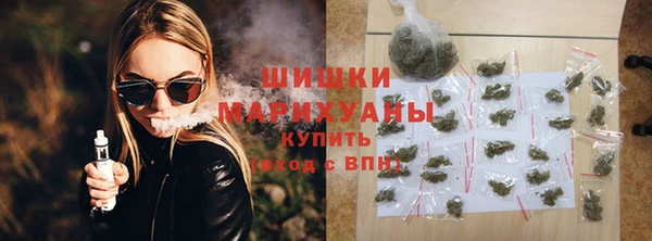 сатива Володарск