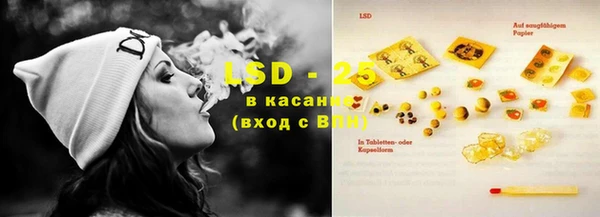 сатива Володарск