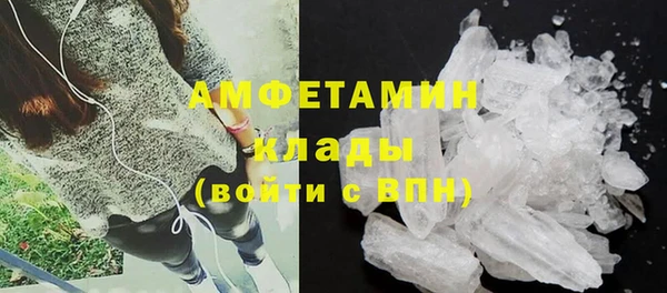 сатива Володарск