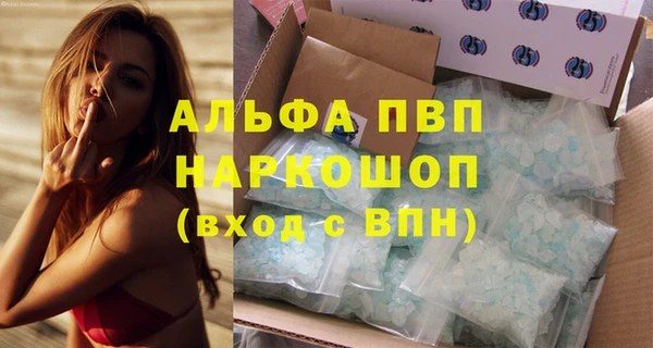 сатива Володарск