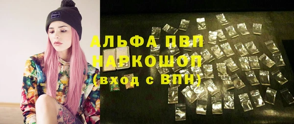 сатива Володарск